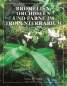 Preview: Bromelien, Orchideen und Farne im Tropenterrarium